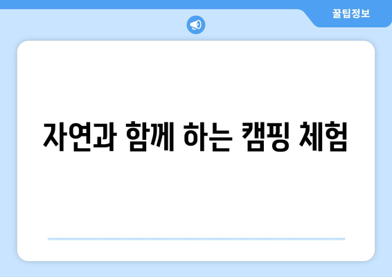 팬션에서 즐기는 액티비티와 체험