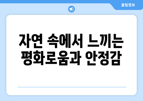 팬션의 매력: 독립적인 공간의 장점