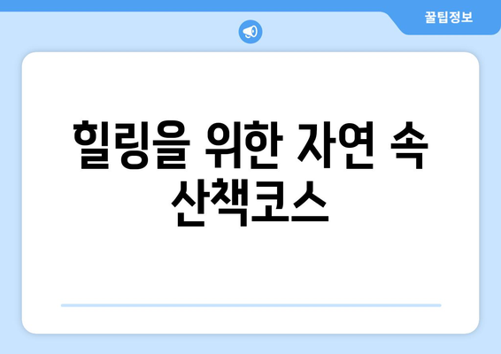 팬션에서 즐길 수 있는 다양한 액티비티