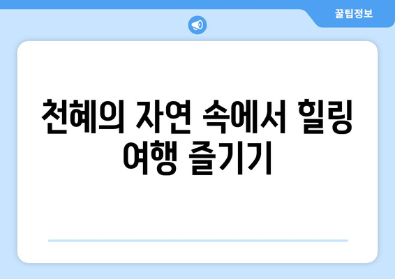 친구들과 특별한 팬션 여행 계획하기