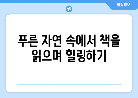 대자연 속 독서 시간 팬션에서의 여유로운 하루