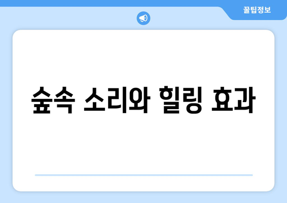 자연 속에서의 명상 팬션에서의 힐링 시간