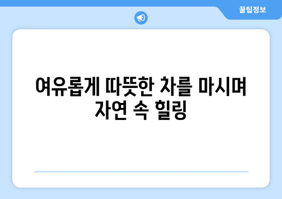 대자연 속 독서 시간 팬션에서의 여유로운 하루