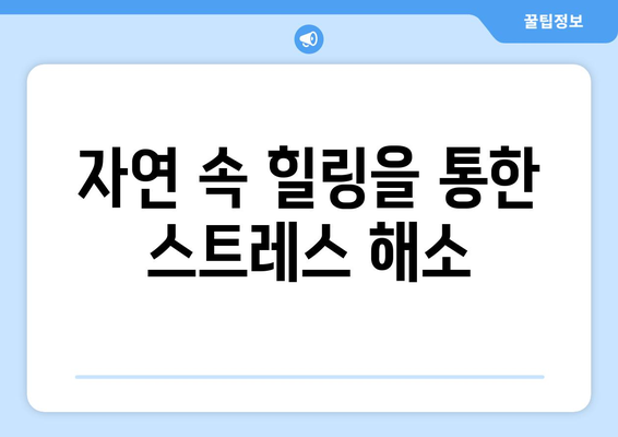 자연 속에서의 명상 팬션에서의 힐링 시간